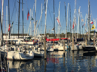 Team Texana sailing the Chicago Mac